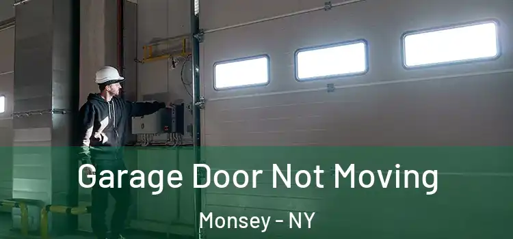  Garage Door Not Moving Monsey - NY