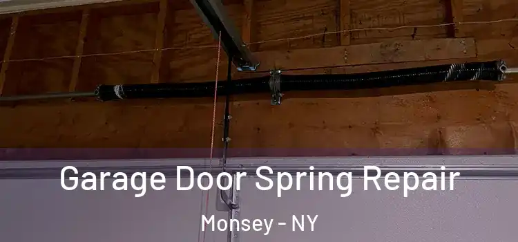  Garage Door Spring Repair Monsey - NY