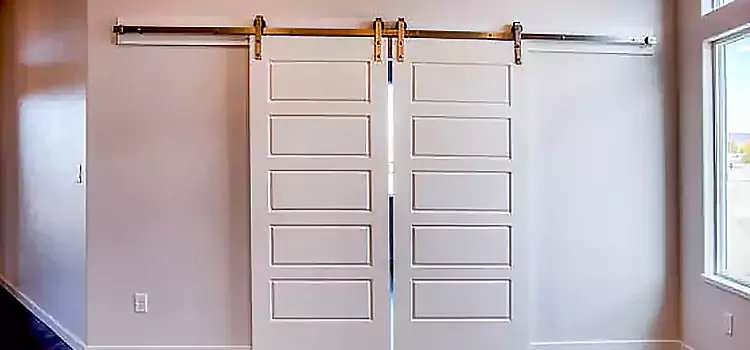 Glass Barn Door with Installation Hardware Kit Monsey