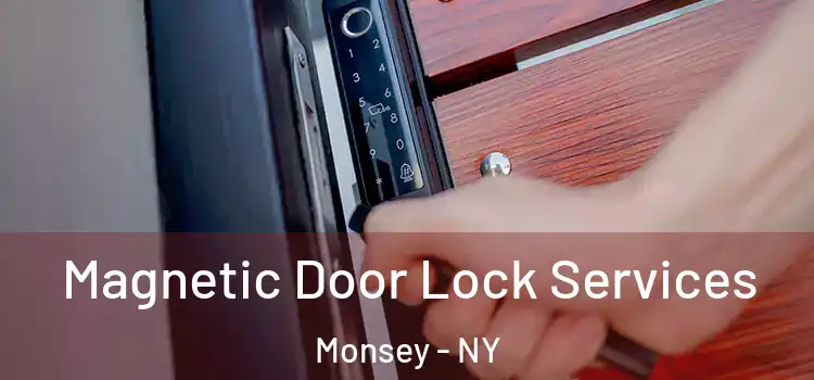  Magnetic Door Lock Services Monsey - NY