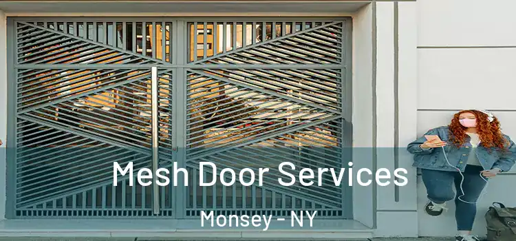  Mesh Door Services Monsey - NY